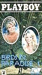 Playboy: Birds in Paradise 1 / :    1 (Top Video) [1984 ., Feature, VHSRip]