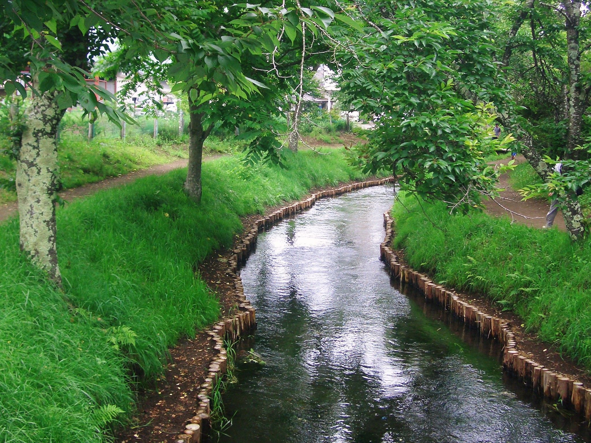 http://imageban.ru/out/2009/07/21/26db024823b270dacda08aad91413942.jpg