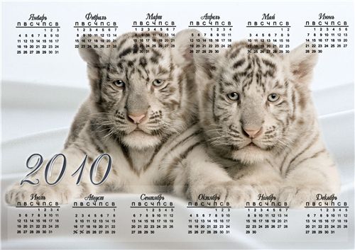 Форма для фотошопа – Календарь 2010