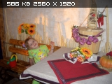 http://imageban.ru/thumbs/2009.12.24/c075a7103cbbb58c3d1680166209bf6a.jpg